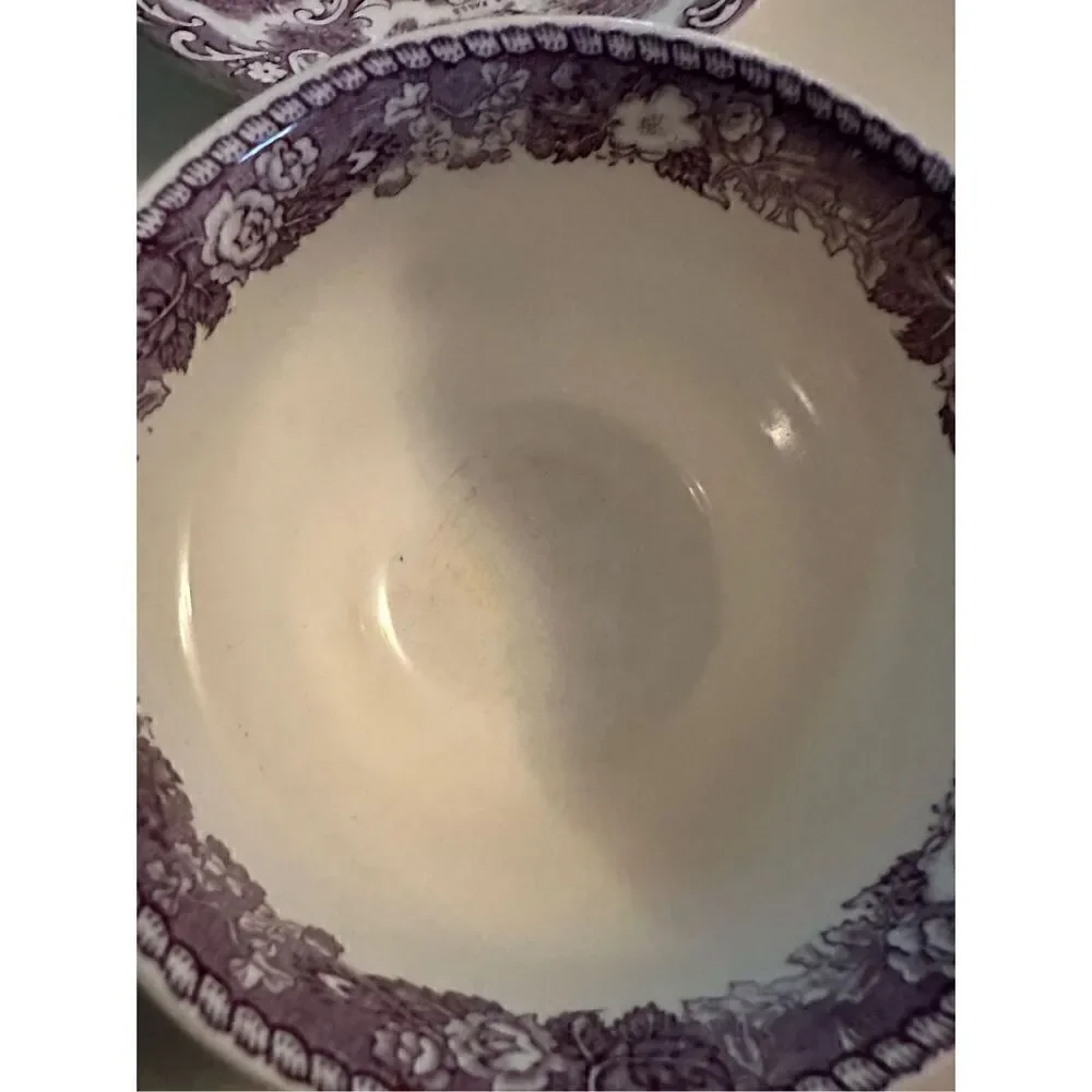 Vtg Old English Staffordshire Ware Natural Bridge Virginia Cup & Saucer Mulberry